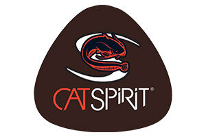 logo cat spirit